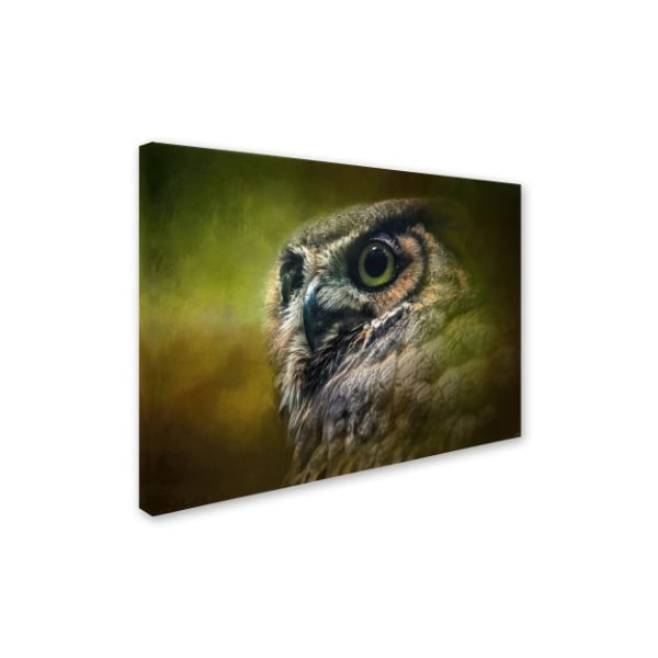 Jai Johnson 'Great Horned Owl In The Grove' Canvas Art,24x32